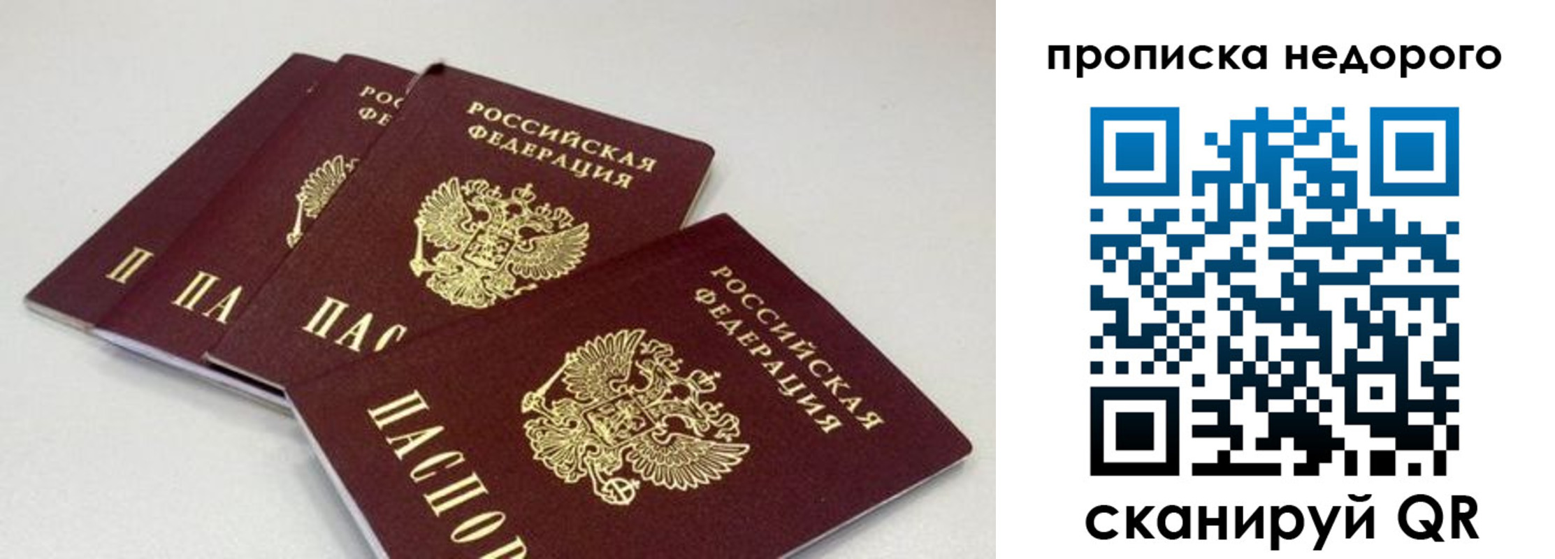 прописка штамп в Чистополье