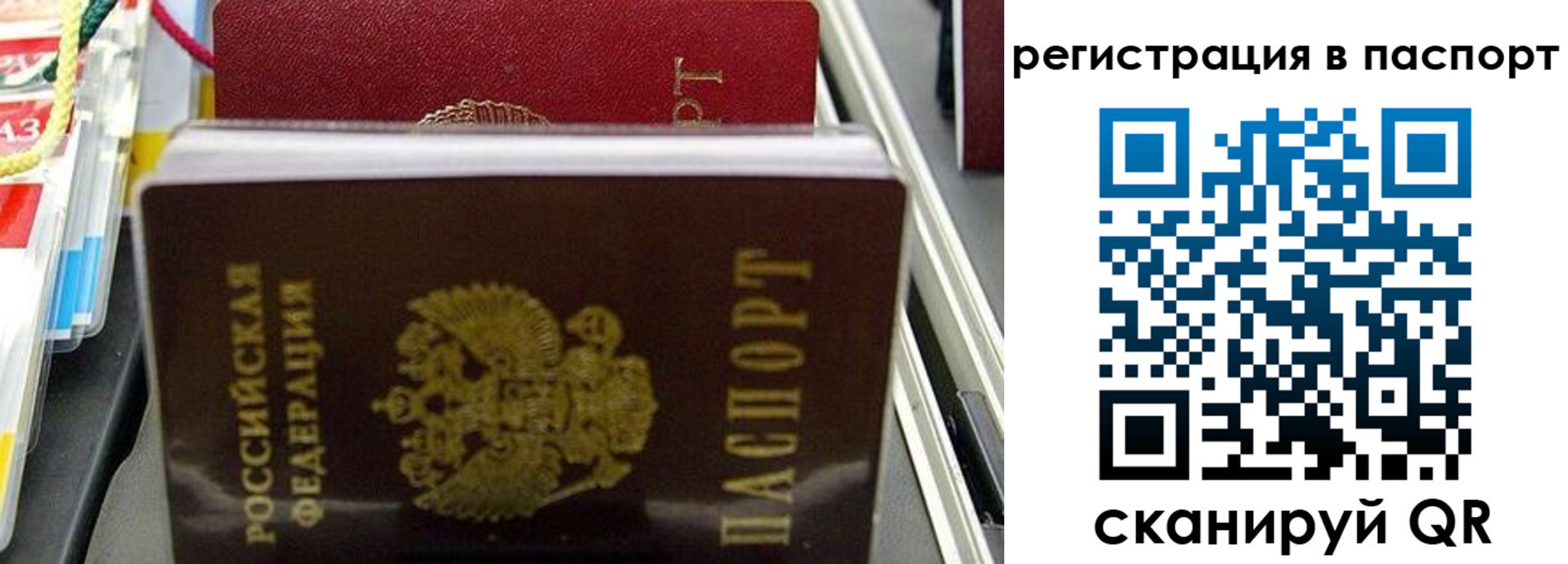 прописка для школы в Чистополье